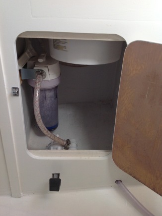 Water filter and foot pump